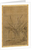 Narcissus and Rocks, 1368-1644 by Lu Tianru