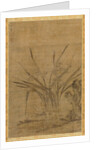 Narcissus and Rocks, 1368-1644 by Lu Tianru