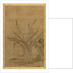 Narcissus and Rocks, 1368-1644 by Lu Tianru