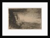 Niagara Falls, 1878 by William Morris Hunt