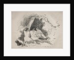 Nude Women, c. 1896 by Camille Pissarro