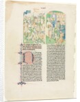 Opening Pages from Valerius Maximus's Facta et dicta memorabilia, c. 1476 by Unknown