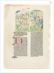Opening Pages from Valerius Maximus's Facta et dicta memorabilia, c. 1476 by Unknown