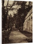 Orangery and Flower Garden at Singleton, Glamorganshire, 1854 by W. Graham Vivian