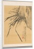 Orchid, 19th century by Watanabe Kazan