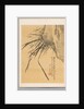 Orchid, 19th century by Watanabe Kazan