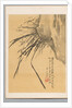 Orchid, 19th century by Watanabe Kazan