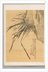 Orchid, 19th century by Watanabe Kazan