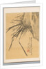 Orchid, 19th century by Watanabe Kazan