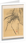 Orchid, 19th century by Watanabe Kazan