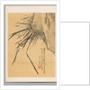Orchid, 19th century by Watanabe Kazan