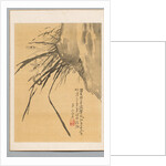 Orchid, 19th century by Watanabe Kazan