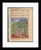 Page from Tales of a Parrot: Eighth night: The unfaithful wife explaining…, c. 1560 by Unknown