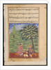 Page from Tales of a Parrot: Eighth night: The unfaithful wife explaining…, c. 1560 by Unknown