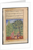 Page from Tales of a Parrot: Eighth night: The unfaithful wife explaining…, c. 1560 by Unknown