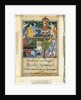 Page from Tales of a Parrot: Eighth night: The young prince is crowned…, 1558-1560 by Suraju