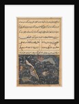 Page from Tales of a Parrot: Eleventh night: The creatures of the sea?, c. 1560 by Unknown