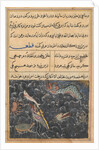 Page from Tales of a Parrot: Eleventh night: The creatures of the sea?, c. 1560 by Unknown