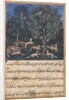 Page from Tales of a Parrot: Fifth night: The parrot mother cautions…, c. 1560 by Daswanth