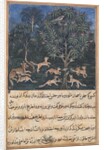 Page from Tales of a Parrot: Fifth night: The parrot mother cautions…, c. 1560 by Daswanth