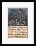 Page from Tales of a Parrot: Fifth night: The parrot mother cautions…, c. 1560 by Daswanth