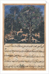 Page from Tales of a Parrot: Fifth night: The parrot mother cautions…, c. 1560 by Daswanth