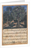 Page from Tales of a Parrot: Fifth night: The parrot mother cautions…, c. 1560 by Daswanth