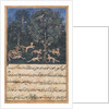 Page from Tales of a Parrot: Fifth night: The parrot mother cautions…, c. 1560 by Daswanth