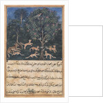 Page from Tales of a Parrot: Fifth night: The parrot mother cautions…, c. 1560 by Daswanth