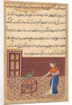 Page from Tales of a Parrot: Fifty-first night: The parrot addresses Khujasta…, c. 156 by Unknown