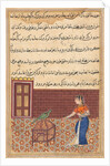 Page from Tales of a Parrot: Fifty-first night: The parrot addresses Khujasta…, c. 156 by Unknown