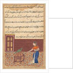 Page from Tales of a Parrot: Fifty-first night: The parrot addresses Khujasta…, c. 156 by Unknown