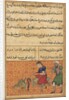 Page from Tales of a Parrot: Fifty-second night: The bird of seven colours?, c. 1560 by Unknown