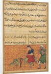 Page from Tales of a Parrot: Fifty-second night: The bird of seven colours?, c. 1560 by Unknown