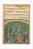 Page from Tales of a Parrot: second night: The sentinel in the employ?, c1560 by Unknown