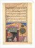 Page from Tales of a Parrot: Seventh night: The Brahman gambler sees…, c. 1560 by Unknown