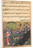Page from Tales of a Parrot: Sixteenth night: The daughter-in-law…, c. 1560 by Unknown