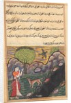 Page from Tales of a Parrot: Sixteenth night: The daughter-in-law…, c. 1560 by Unknown