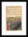 Page from Tales of a Parrot: Sixteenth night: The daughter-in-law…, c. 1560 by Unknown
