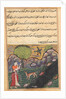 Page from Tales of a Parrot: Sixteenth night: The daughter-in-law…, c. 1560 by Unknown