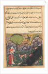 Page from Tales of a Parrot: Sixteenth night: The daughter-in-law…, c. 1560 by Unknown