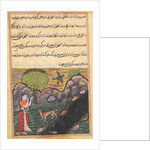 Page from Tales of a Parrot: Sixteenth night: The daughter-in-law…, c. 1560 by Unknown