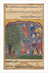 Page from Tales of a Parrot: Sixth night: Seven men disputing possession…, c. 1560 by Unknown