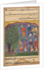 Page from Tales of a Parrot: Sixth night: Seven men disputing possession…, c. 1560 by Unknown