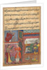 Page from Tales of a Parrot: Tenth night: The vizier?s son receives the magic…, c. 156 by Unknown