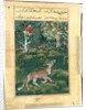 Page from Tales of a Parrot: Thirty-first night: The donkey, in a tiger?s skin…, 1558- by Basavana (attributed to)