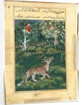 Page from Tales of a Parrot: Thirty-first night: The donkey, in a tiger?s skin…, 1558- by Basavana (attributed to)