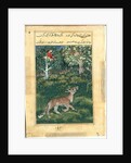 Page from Tales of a Parrot: Thirty-first night: The donkey, in a tiger?s skin…, 1558- by Basavana (attributed to)