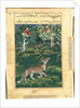 Page from Tales of a Parrot: Thirty-first night: The donkey, in a tiger?s skin…, 1558- by Basavana (attributed to)