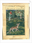 Page from Tales of a Parrot: Thirty-first night: The donkey, in a tiger?s skin…, 1558- by Basavana (attributed to)